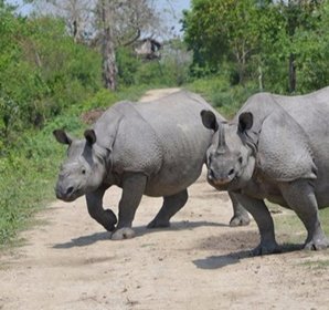 kaziranga-national-park