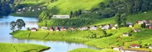 Munnar