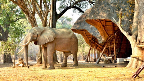 Mana Pools National Park