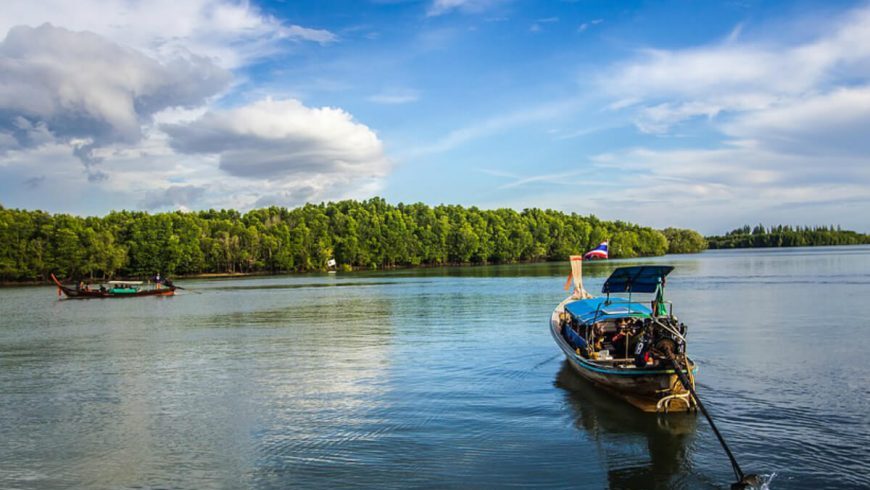 Havelock Island