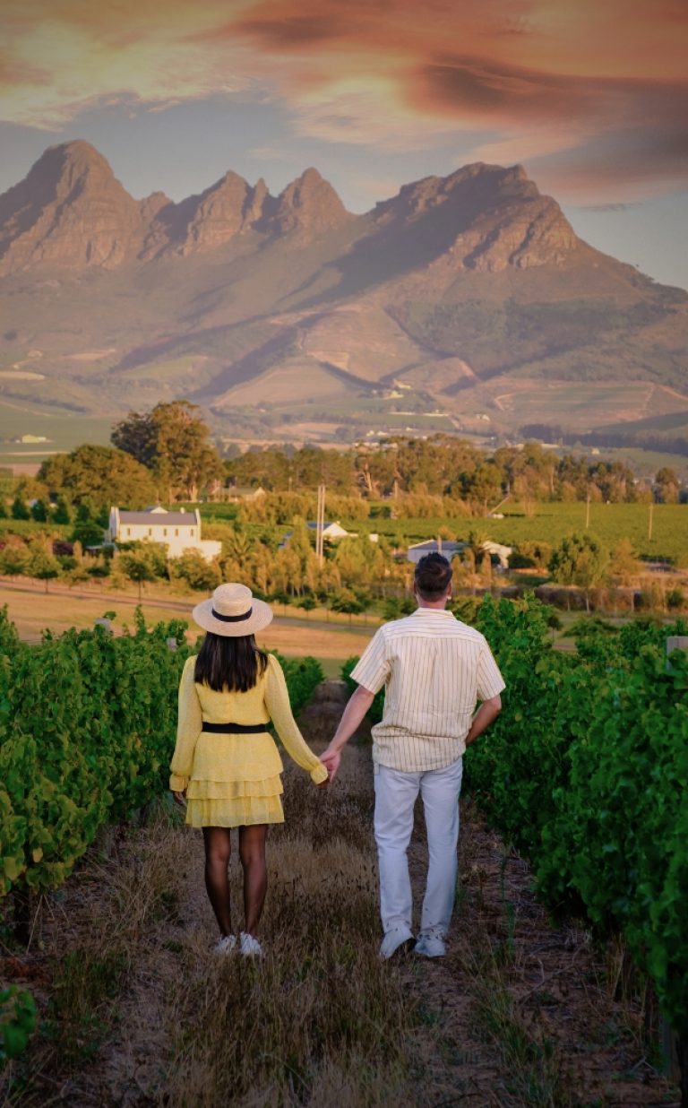 Cape Winelands