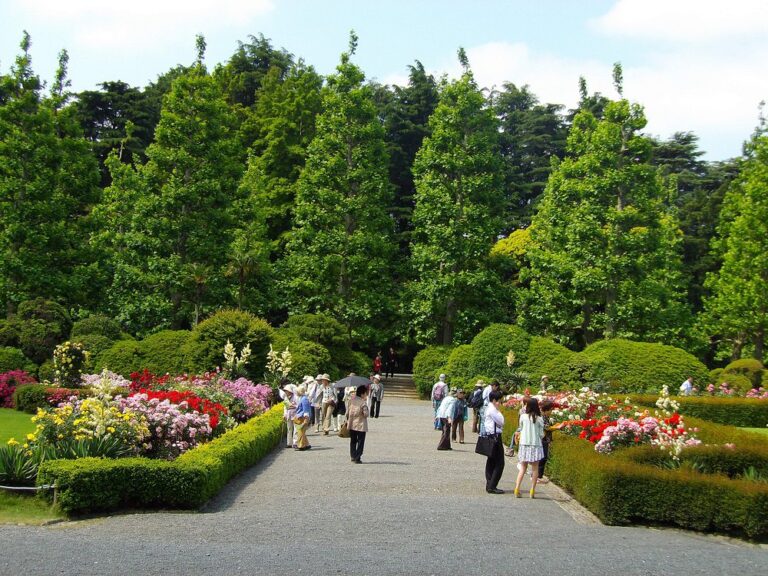 Shinjuku Gyoen National Garden